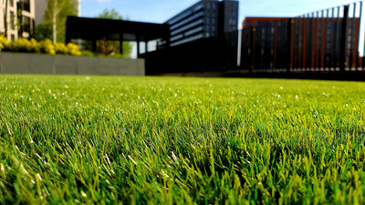 Lawn & Garden