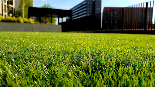 Lawn & Garden