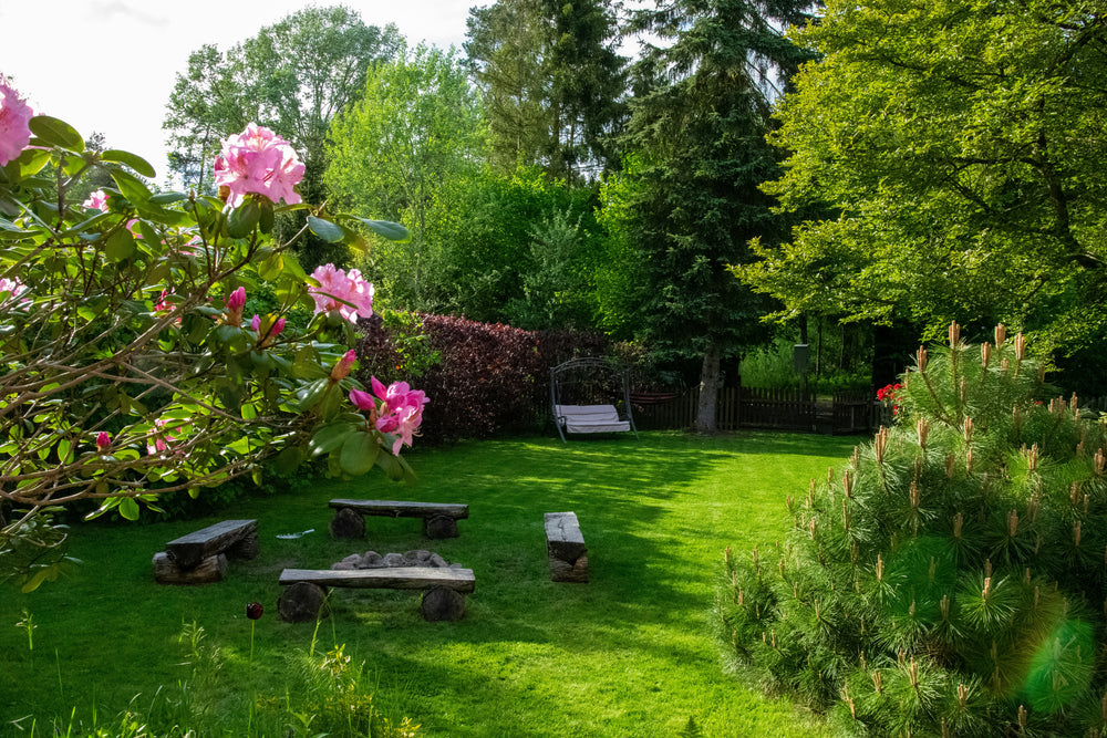Lawn and Garden